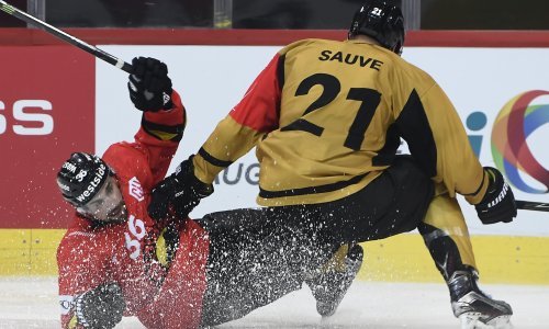 Nevjerojatna priča Medveščakova igrača - prebolio rak i preživio nalet automobila