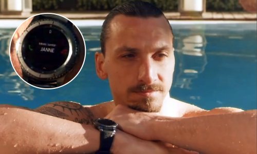 Je li moguće da se Zlatan Ibrahimović ovako iz bazena sprda sa švedskim izbornikom?