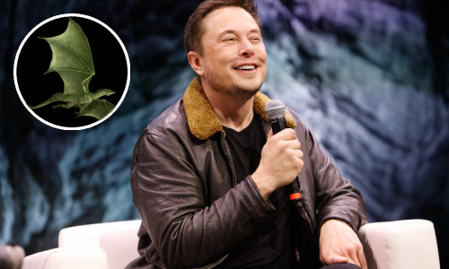 Elon Musk potvrdio da gradi kibernetičkog zmaja