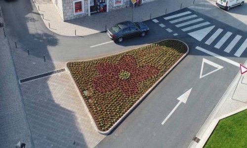 Pregazio novi cvjetni nasad jer mu je izgledao kao petokraka