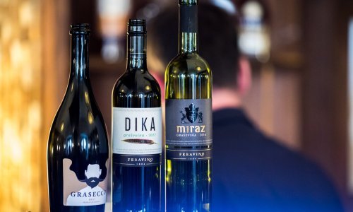 Osilovac dobio novu Upravu s Ivanom Maričićem