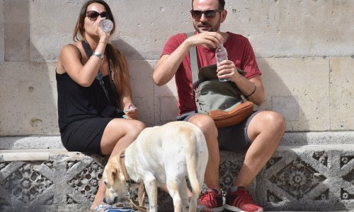 Svidjet će vam se novi trend: Ma kakav 'hygge', sad je tema broj jedan hrvatska fjaka