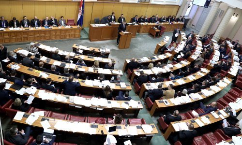 Sabor o Matici iseljenika, obrani i OIB-u