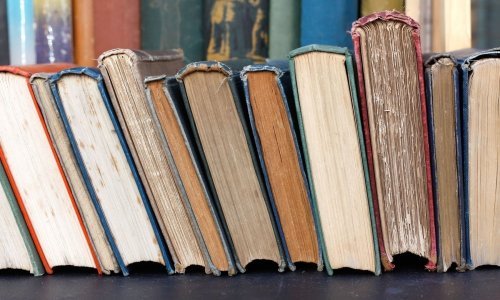 Ilica u napuštenom prostoru dobiva kvartovsku knjižaru
