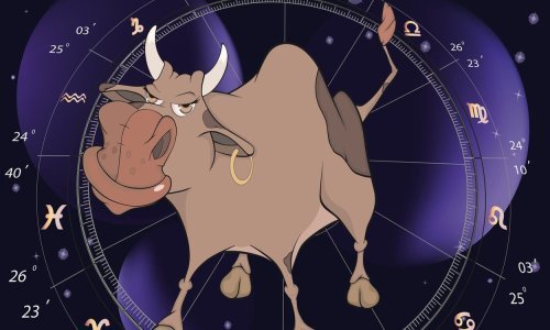 Bikovi imaju jasan životni plan - stalno uvećavati svoju imovinu i ugled