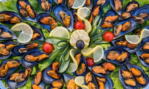 S tržišta se povlače dagnje 'Katić' zbog bakterije Escherichia coli