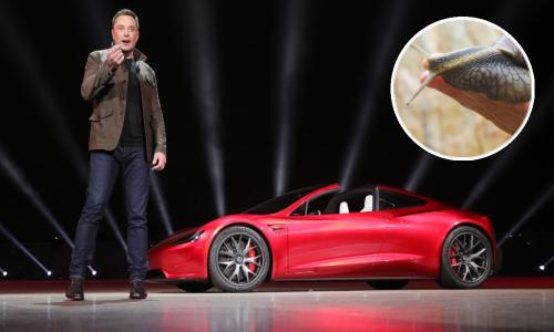 Zašto Elon Musk tvita o pužu?