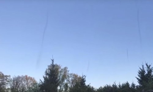 Mama i sin snimili bizarne stupove insekata koji kao da su ispali iz SF filma