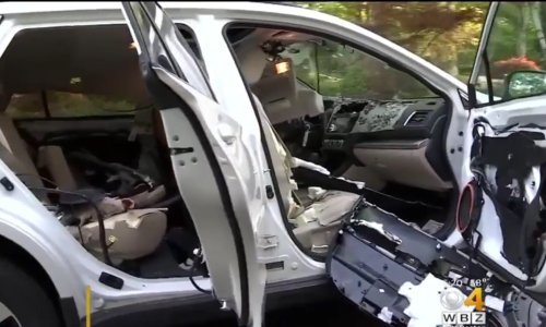 Evo što ostane od automobila nakon što medvjed zaglavi u njemu