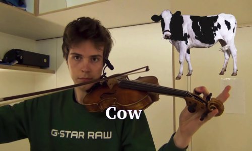 Mladi violinist svojim instrumentom savršeno imitira životinje