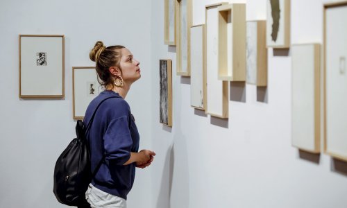 Kontrola i kazna teme Salona mladih u Meštrovićevom paviljonu