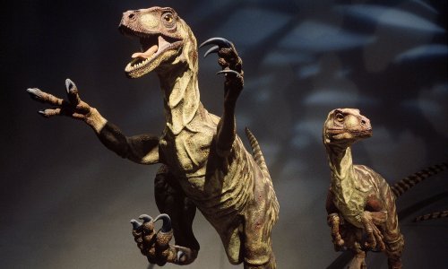 Na Grenlandu nađene kosti dosad nepoznatog dinosaura