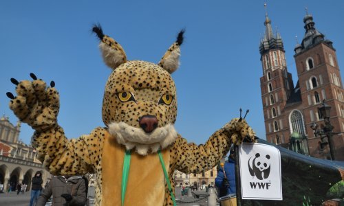 Mala škola licemjerja: Kad zaštitari okoliša podlegnu neodoljivom zovu novca
