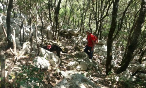 Migrante spašavao HGSS, trudnica i majka s bebom zapele na planini