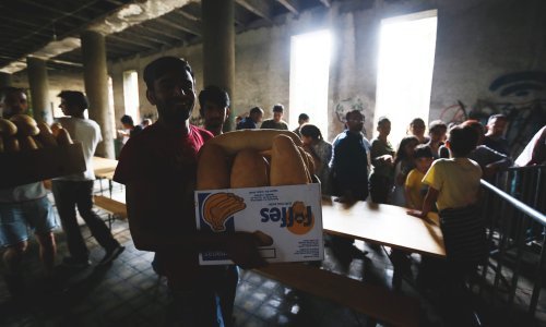 Migranata je sve više, uvjeti života nemogući: Ovo, jarane, samo Amerika i Evropa mogu riješiti!