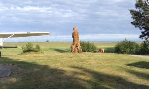 Pogledajte najbolje prošlotjedne snimke životinja