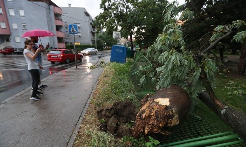 Nevrijeme u Zagrebu čupalo stabla, temperatura pala za sedam stupnjeva
