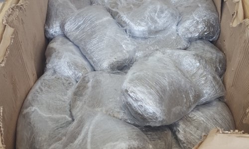 Zbog krijumčarenja 1,1 tone marihuane uhićena peteročlana kriminalna skupina