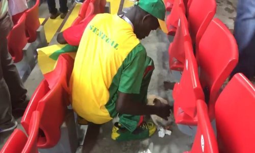 Najbolji navijači na svijetu: Umjesto slavlja velike pobjede, čistili stadion!