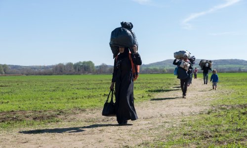 U Sloveniji novi slučaj ilegalnog ulaska migranata, vodili ih državljani Hrvatske i Srbije