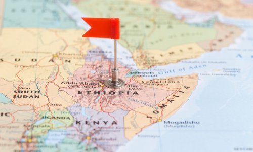 Identifikacija žrtava zrakoplovne nesreće u Etiopiji mogla bi trajati 6 mjeseci