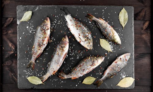 Hrana iz mora povezana s boljim seksualnim životom i bržim začećem