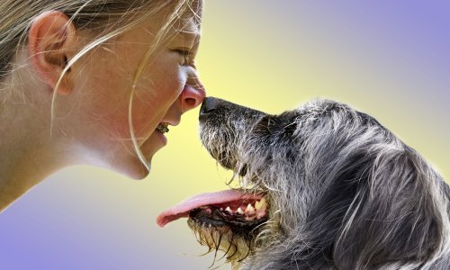 Zašto je dobro imati ljubimca