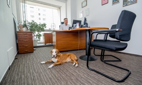 MOL Grupa - dokazani prijatelji pasa i njihovih vlasnika