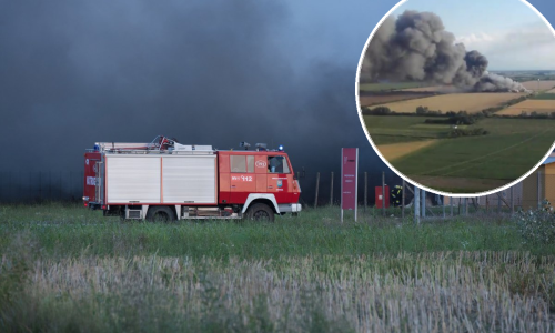 Mobilizacija vatrogasaca zbog velikog požara na Agrokorovoj farmi svinja