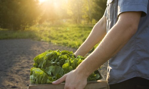 Srbija pojačala carinski nadzor za robu iz Hrvatske