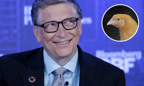 Bill Gates otkrio što bi prvo napravio da je siromašan