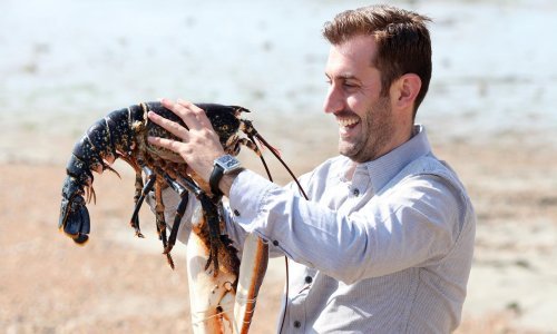 Otkrijte koji su najbolji poslovi za osjećajne Rakove