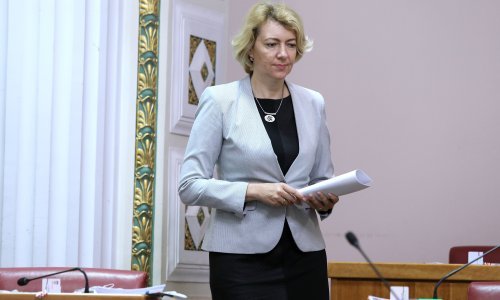 SDSS-ova Dragana Jeckov: Udomljavanje treba omogućiti i životnim partnerima
