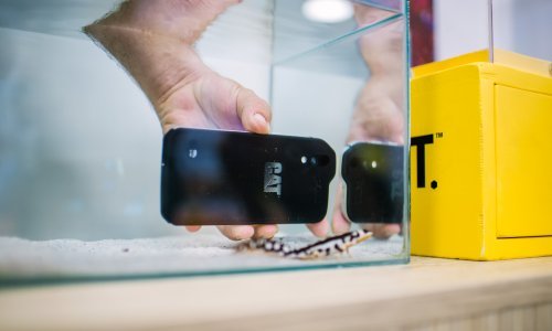 U Hrvatsku je stigao novi CAT pametni telefon, pogledajte što sve može