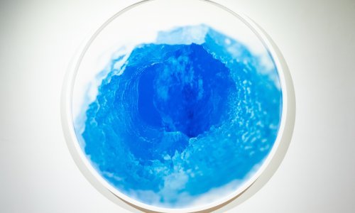 U Dubrovniku izložba posvećena 'najvećoj životnoj snazi na planetu'