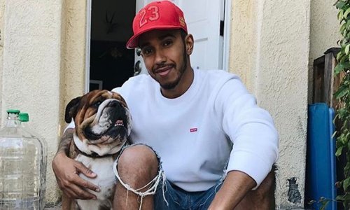 Kad si pas svjetskog prvaka život ti je bajka, a dnevno možeš zaraditi hrvatsku plaću