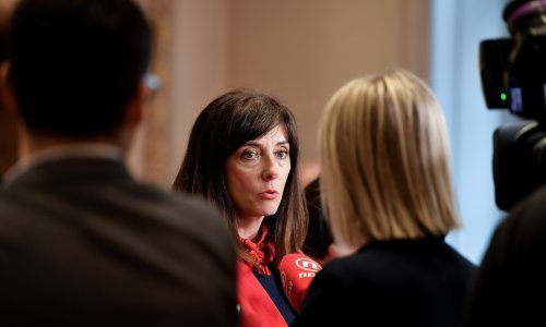 Divjak kaže da je sve veći interes učenika za strukovna zanimanja, a evo i za koja