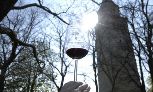 Jakovčić slavi nakon zelenog svjetla za teran