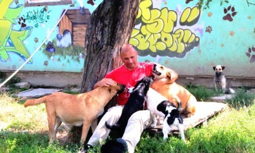 Bravo za Virovitičane, oni ljudski tretiraju napuštene životinje!