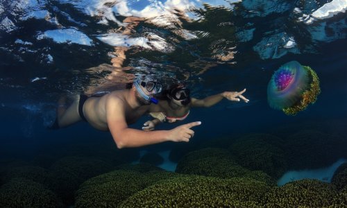 Opasnost vreba iz mora, zraka i s kopna: Kako si pomoći u slučaju najčešćih ljetnih ozljeda