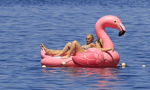 O, ne, desprciti su se vratili - i to veći nego lani!