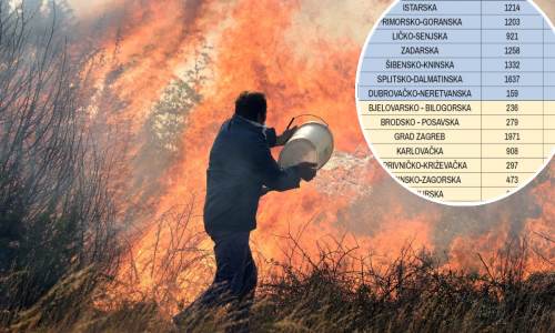Prošlog ljeta Hrvatska je bila veliko požarište. Ove godine je daleko bolje. Koliko? Imamo brojke