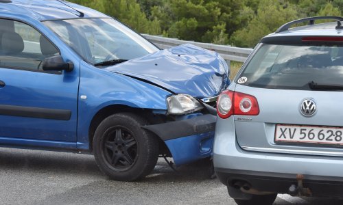 Stiže polica osiguranja od naleta divljači u cestovnom prometu