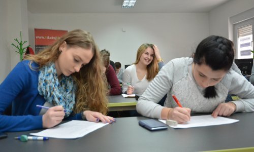 Zašto hrvatski đaci mogu naučiti strani jezik, a ne mogu vlastiti?