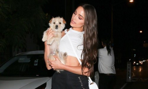 Zavodljiva brineta ponovno briljira u vječitom modnom klasiku