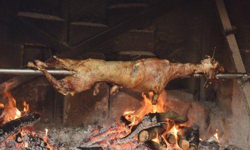 Na proštenju u Žumberku 34 osobe dobile salmonelu od starog pečenja