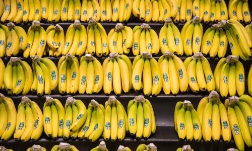 Europska komisija kartelima je bez milosti odrezala desetine milijardi: Na tapetu su čak i dileri banana i gljiva