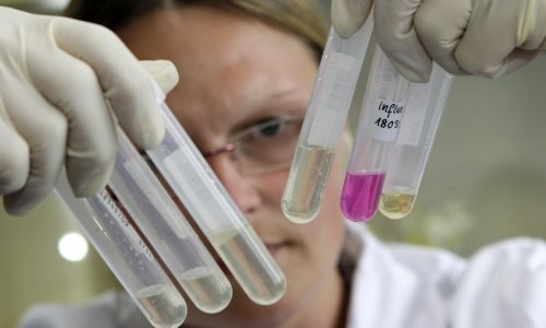 Britanijom hara norovirus