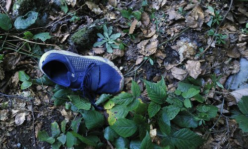 Dvojica migranata u šumi kod Karlovca možda su poginula u odronu