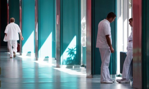 Potvrđen prvi slučaj virusa Zapadnog Nila u Hrvatskoj